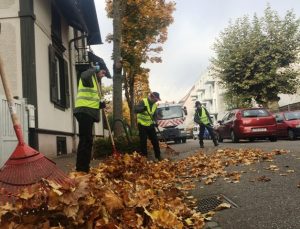 Feuilles mortes decembre