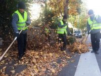 L’automne est passé… Scoprobat aussi !