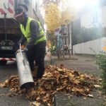 Feuilles mortes souffleur