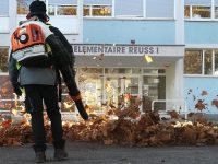 Nouvelle publication Facebook : Prestation Feuilles Mortes